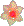 �T�C�̌� �s���R�[��
