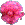 �����ӂ��ɂ��� �s���R�[�� �L��